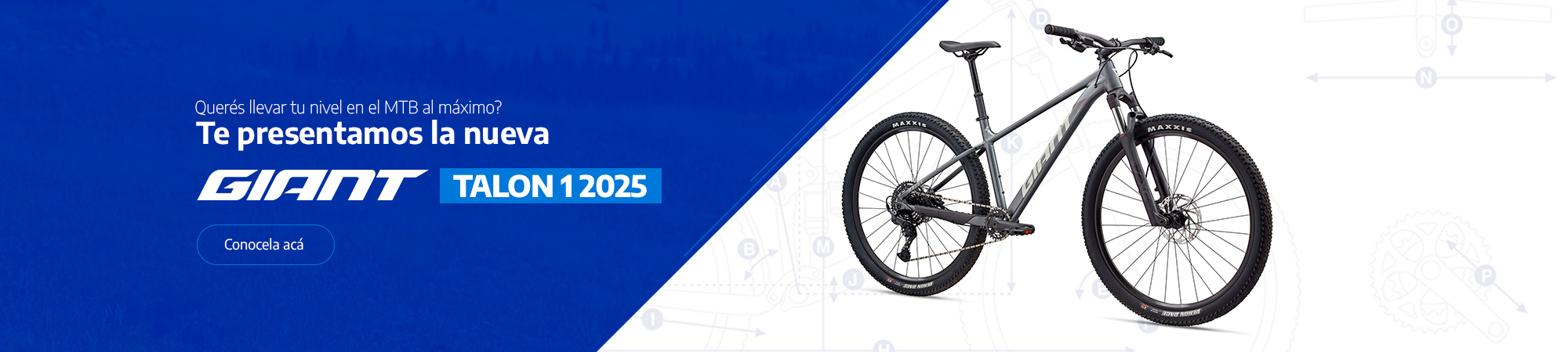 Talon 1 2025