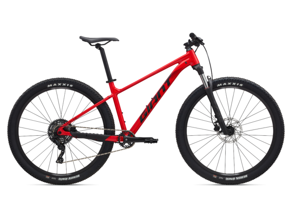 Talon 29 2 2025 - Imagen 2