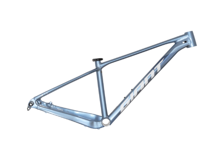 Xtc Slr 29 (cuadro)